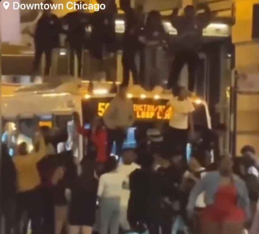 teens gone wild chicago