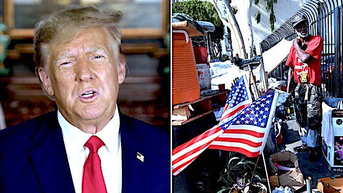 Click to enlarge TrumpHomeless
