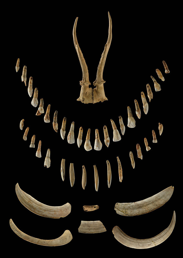 Click to enlarge shaman