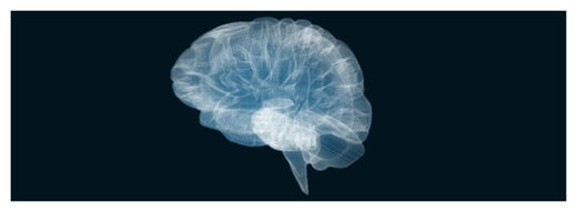 Brain and consciousness