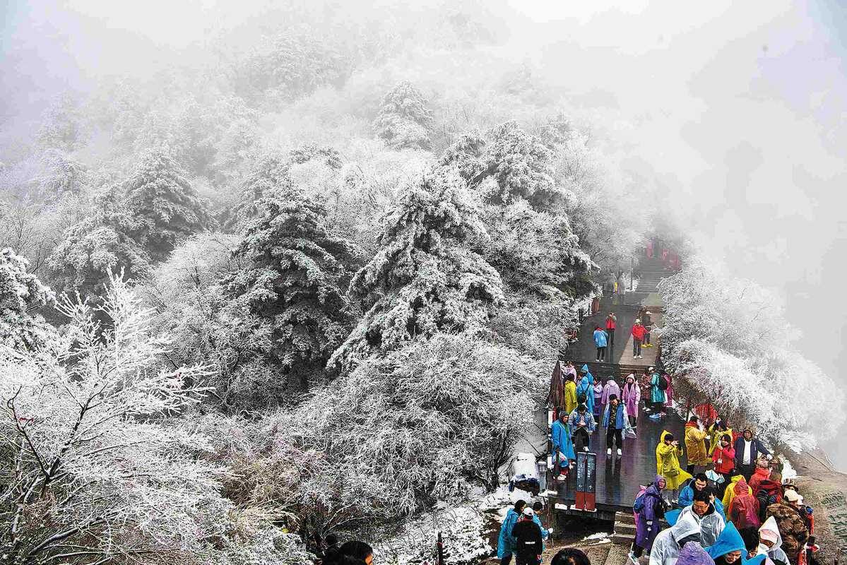 Snow bends branches on Huashan Mountain in Huayin, Shaanxi province, on Monday. It snowed heavily on the renowned tourist attraction on Sunday night.