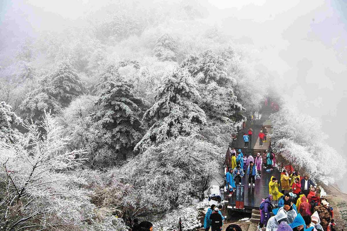 Click to enlarge Snow bends branches on Huashan Mountain in Huayin, Shaanxi province, on Monday. It snowed heavily on the renowned tourist attraction on Sunday night.
