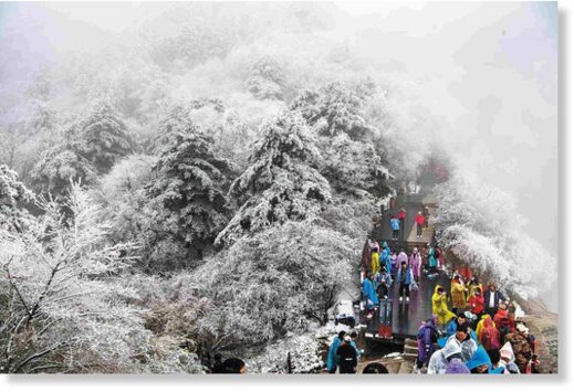 Click to enlarge Snow bends branches on Huashan Mountain in Huayin, Shaanxi province, on Monday. It snowed heavily on the renowned tourist attraction on Sunday night.
