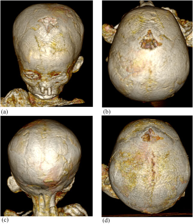 Click to enlarge egyptian mummy child
