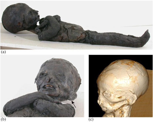 Click to enlarge egyptian mummy child