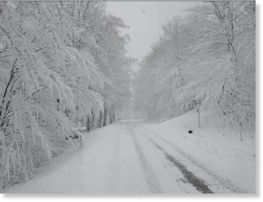 Click to enlarge A country road near Davis this week.
