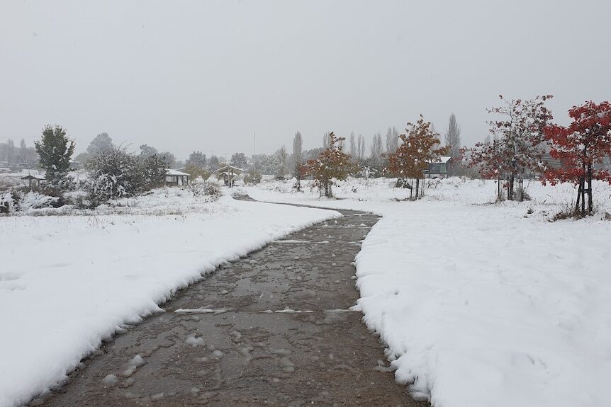 Snow borders a footpath in Nimmitabel, in the south-east NSW Monaro area.