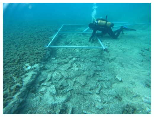 Underwater Road