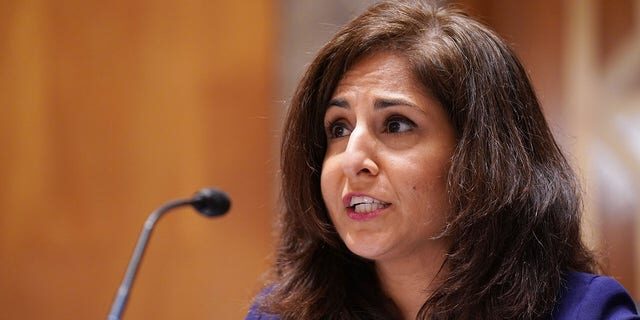 Click to enlarge neera tanden