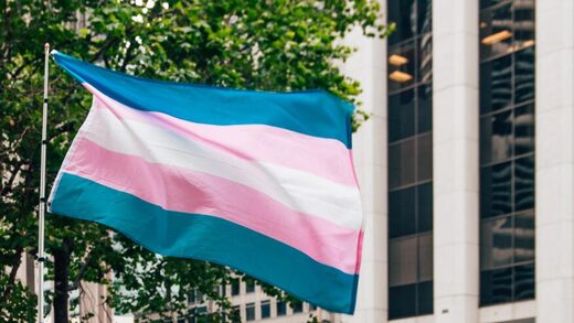 trans flag