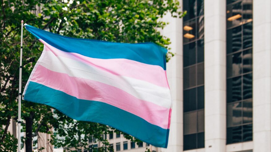 trans flag