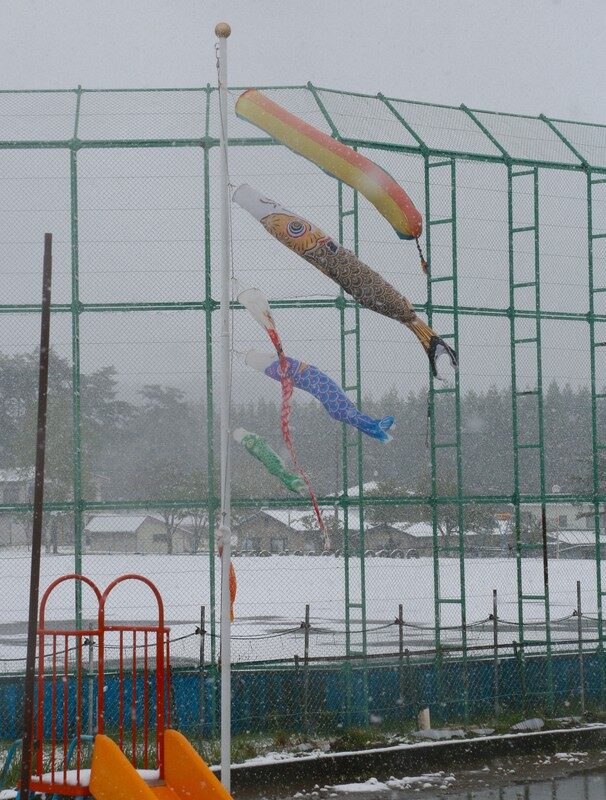Carp streamers that were set up for Children's Day on May 5 are seen next to a field blanketed in snow in Ichinohe, Iwate Prefecture, on May 8, 2023.