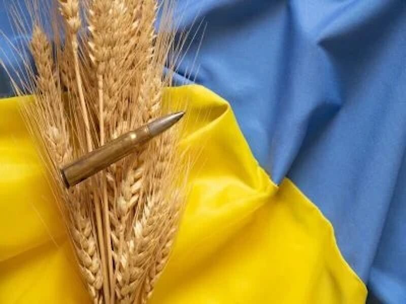 Click to enlarge Ukraine flag
