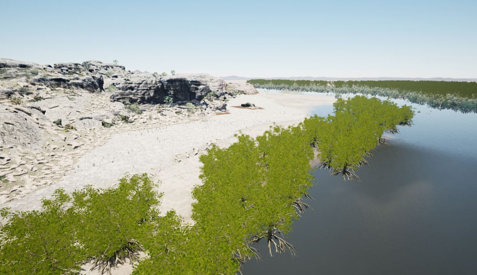 Sea Level Flooding Mangrove