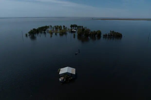 Thousands of cows were lost to flooding in the Tulare Lake basin during California’s extremely wet winter.