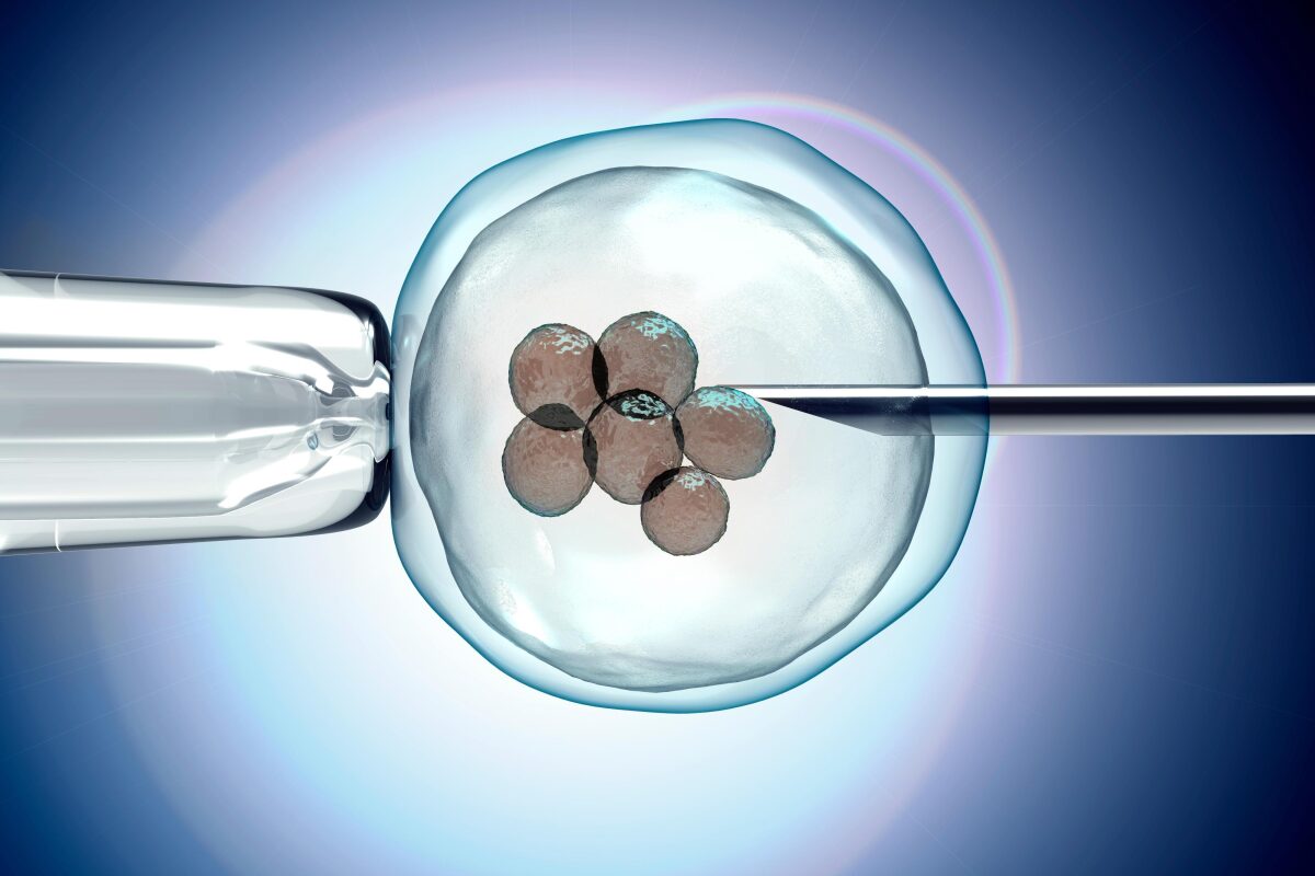 IVF invitro fertilization