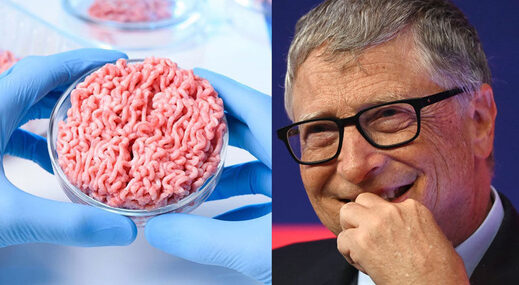 Bill gates synthetic meat lab