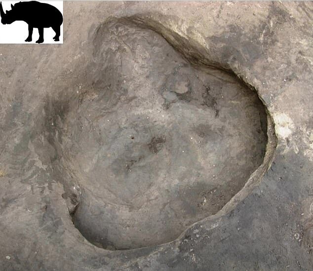 Click to enlarge rhino