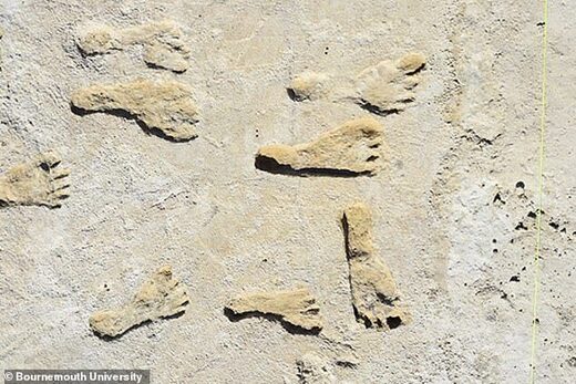 Click to enlarge human footprints