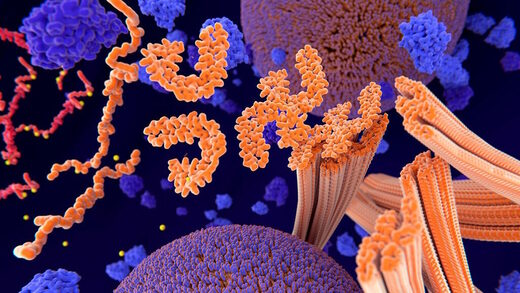 Click to enlarge tau proteins brain alzheimer's