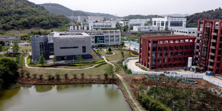 Click to enlarge China Bio Lab