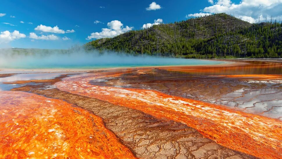 lava flows