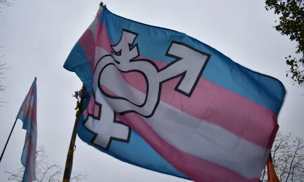 trans flag