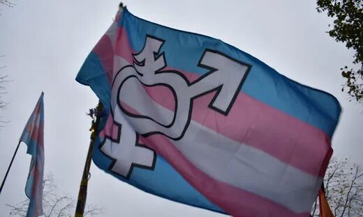 Click to enlarge trans flag