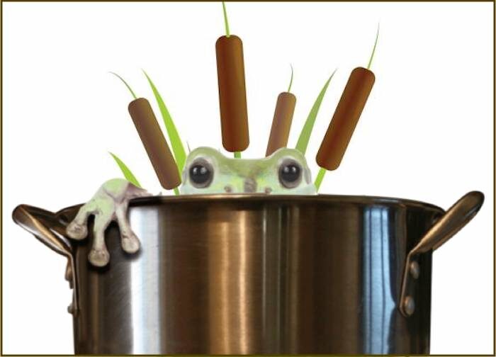 boilfrog