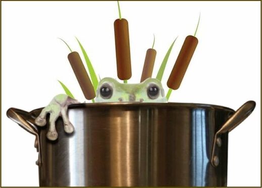 boilfrog