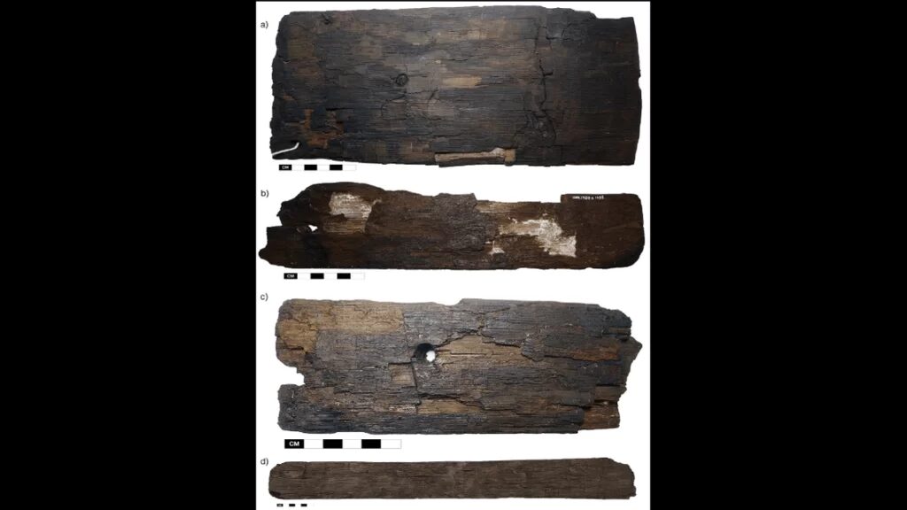Click to enlarge Ancient Wood