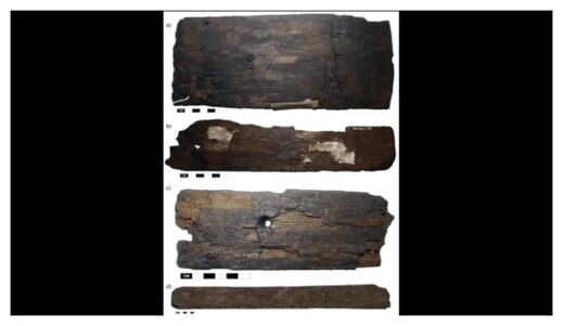 Click to enlarge Ancient Wood