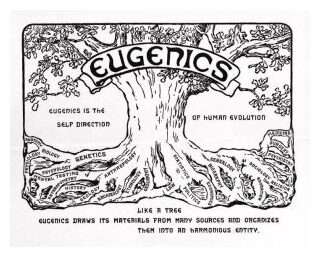 Eugenics Poster