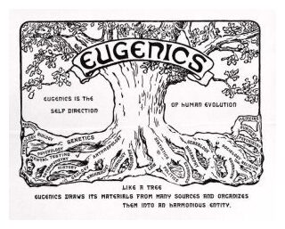 Click to enlarge Eugenics Poster