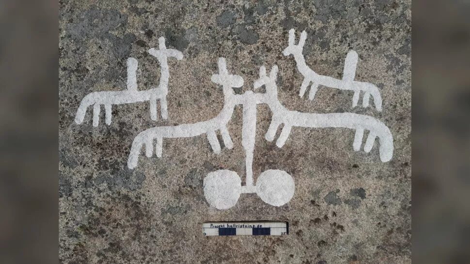 Click to enlarge Sweden petroglyphs 3