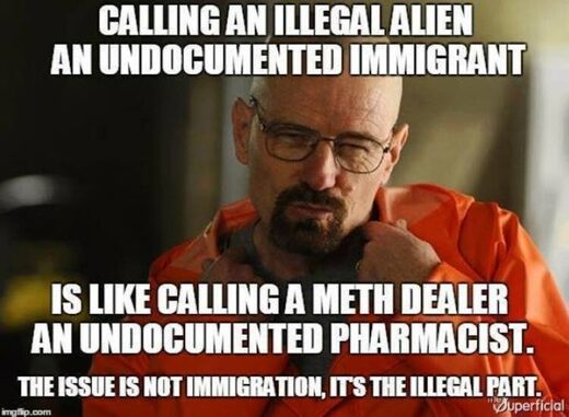 breaking  bad illegal aliens migrants meme