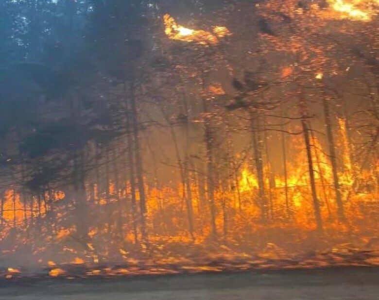Marion and Peter Gillespie said they couldn't see the road because of the smoke and flames.