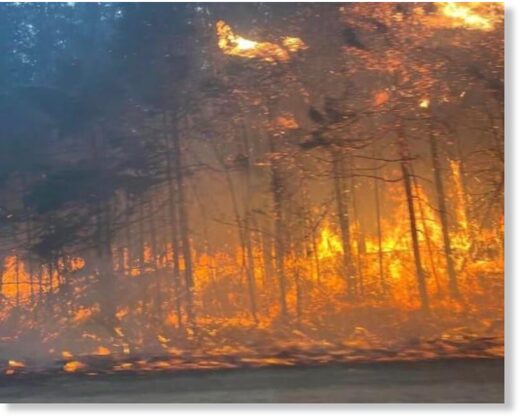 Marion and Peter Gillespie said they couldn't see the road because of the smoke and flames.