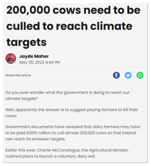 Article about Cow Culls