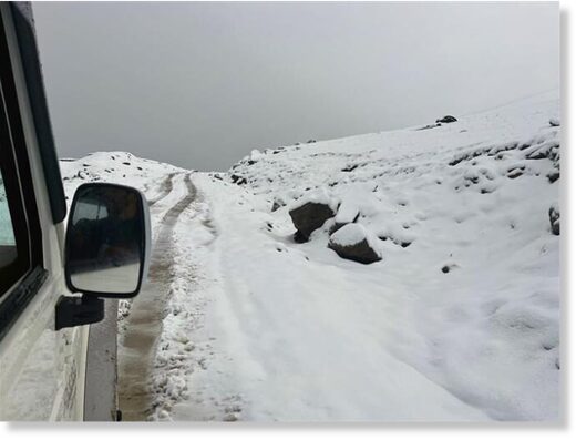 The Chanshal Pass near Rohru in Shimla district covered by a white blanket of snow on Thursday.