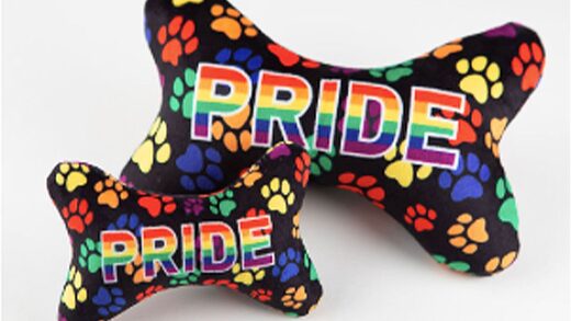 PetSmart pride merchandise