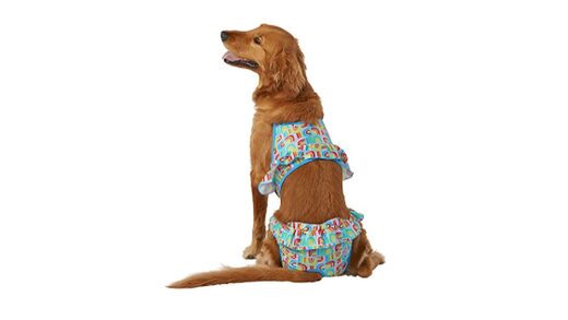 Pride Dog Bikini