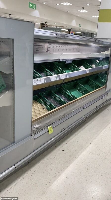Waitrose bare shelves egg shortage