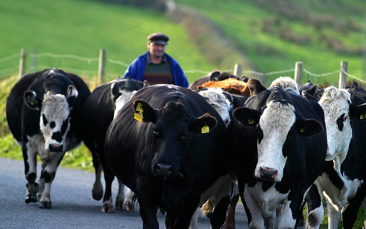 dairy farmer ireland