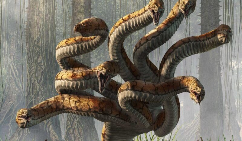 hydra-headed snake