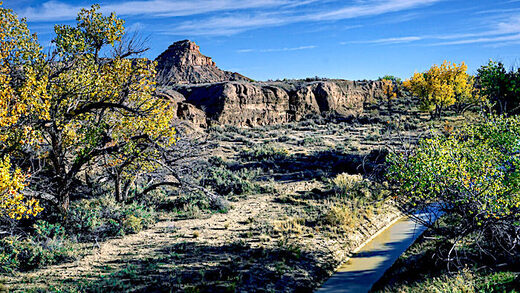 Navajo