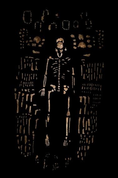 homo naledi