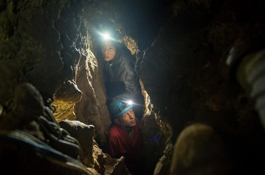 homo naledi
