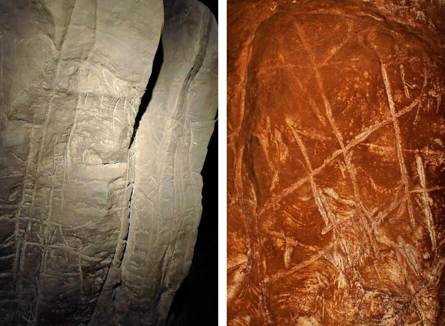 homo naledi