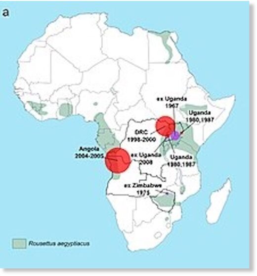 Marburg Africa